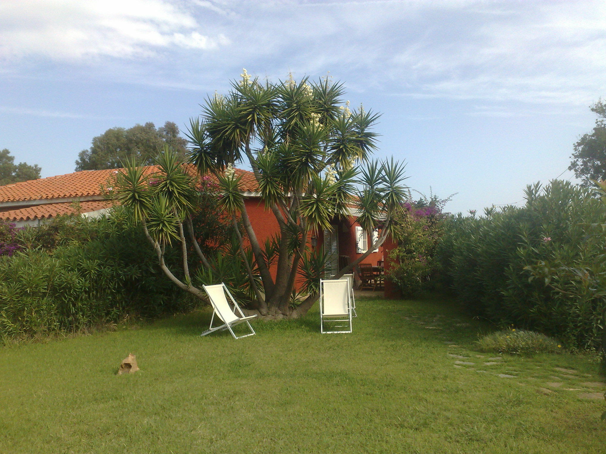 Residence La Pineta Budoni Eksteriør billede